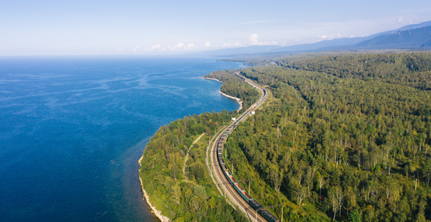 Forest next to ocean with train tracks